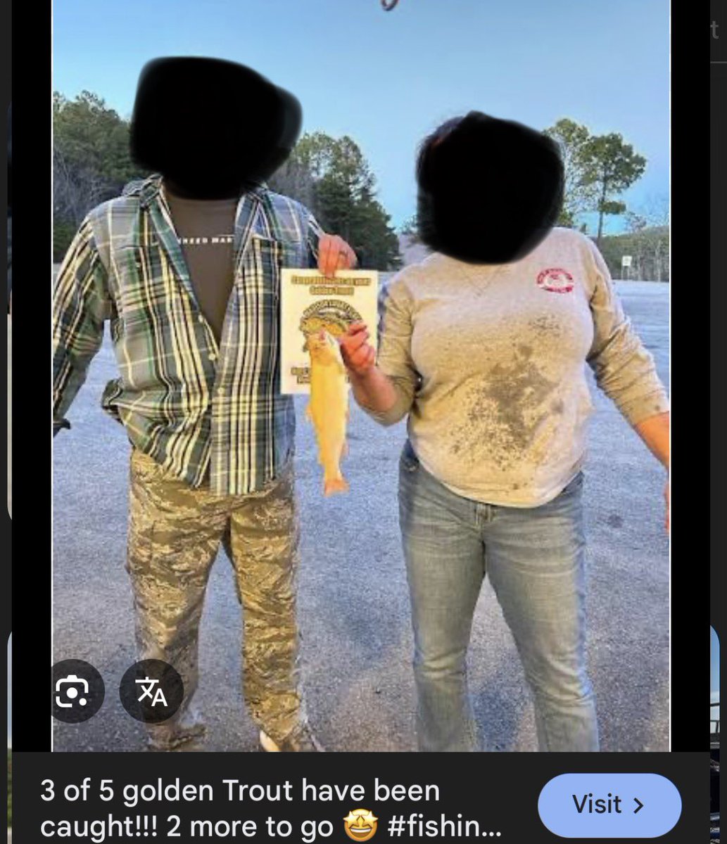 Dawn, Daughter of Peter ☧ 🇻🇦 tweet media