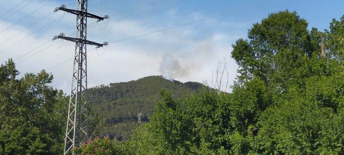 Iddeum ♋ tweet media