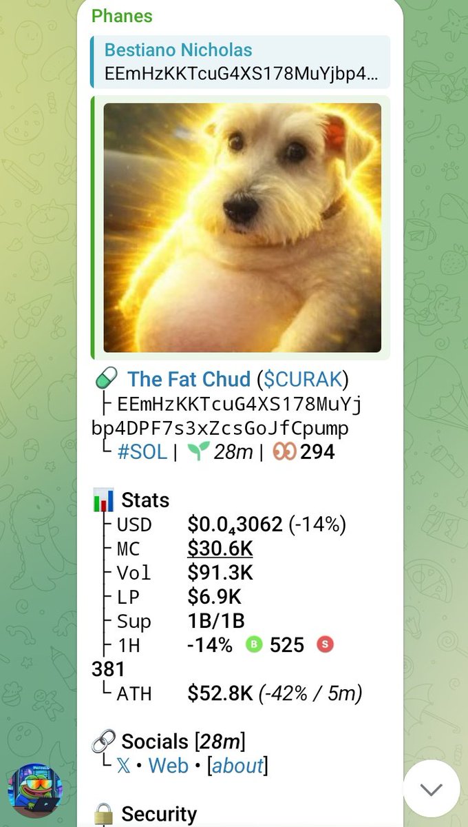 NicholasOsoeme's tweet image. CA&amp;gt;&amp;gt;
EEmHzKKTcuG4XS178MuYjbp4DPF7s3xZcsGoJfCpump
#memecoin #Solana #Degen