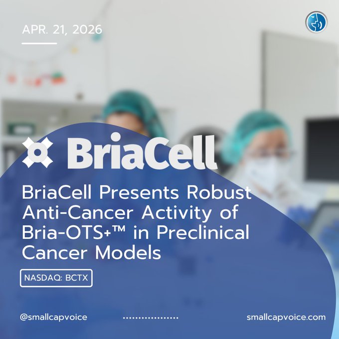 KaBoomStockPick's tweet image. $BCTX shared new preclinical data for Bria-OTS+™, highlighting early, potent &amp;amp; durable immune activation in in‑vitro cancer models—presented at AACR 2026.

#Biotech #Oncology #AACR2026

NEWS: globenewswire.com/news-release/2…

$AGAE $ABLV $SNAL $GXAI $EFOI $PBM $YXT $ALMR $BZAI $FGI