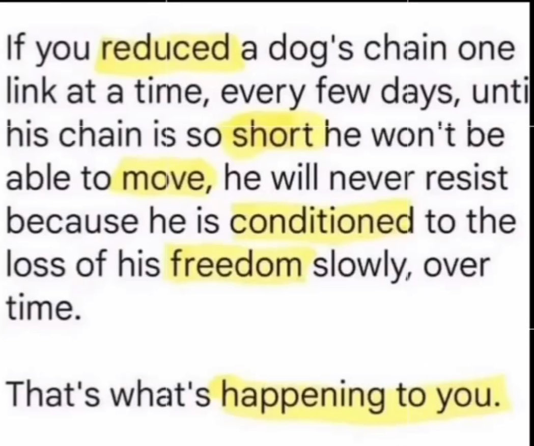 Dearie70 tweet media