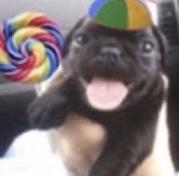 Nicolas Ximas tweet media