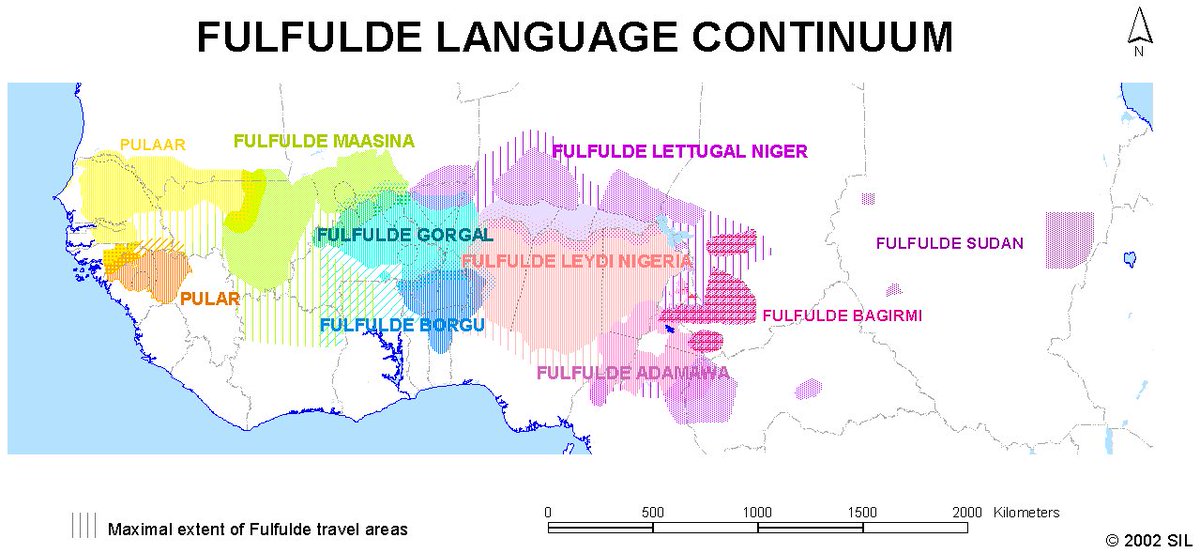 Geelel 🏔️🧪 tweet media