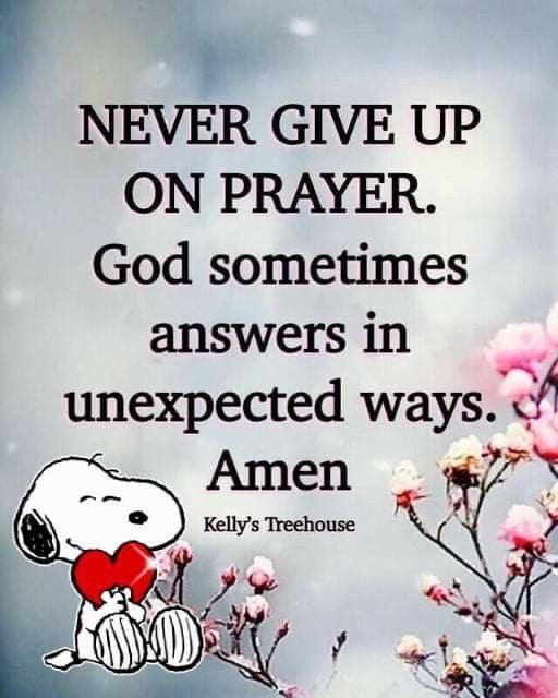 Wendy W ✝️💐🌿🌷🌿🌷🌿🌷 tweet media