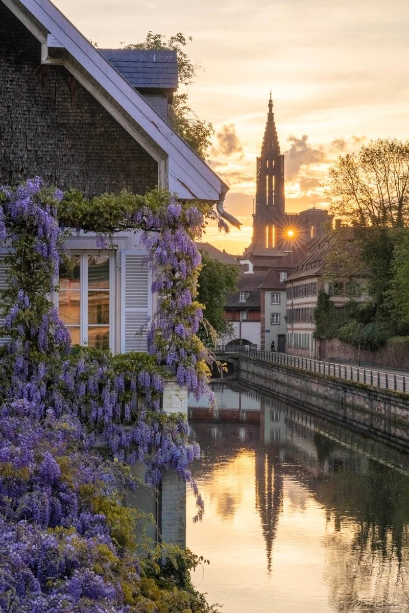 's tweet image. Un soleil perçant 🌅
Belle et douce soirée ✨😘
📸 Marc Geiller

#Strasbourg  #cathédrale #Alsace