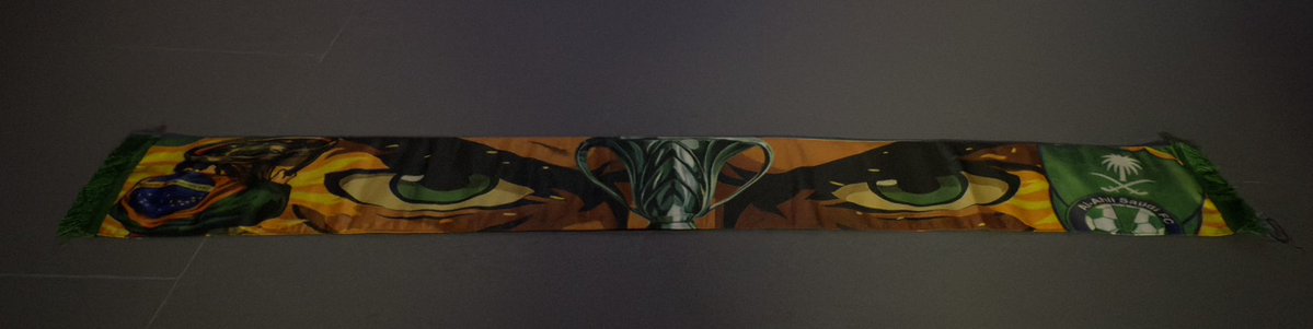 رايكو | الاستثنائي🥇. tweet media