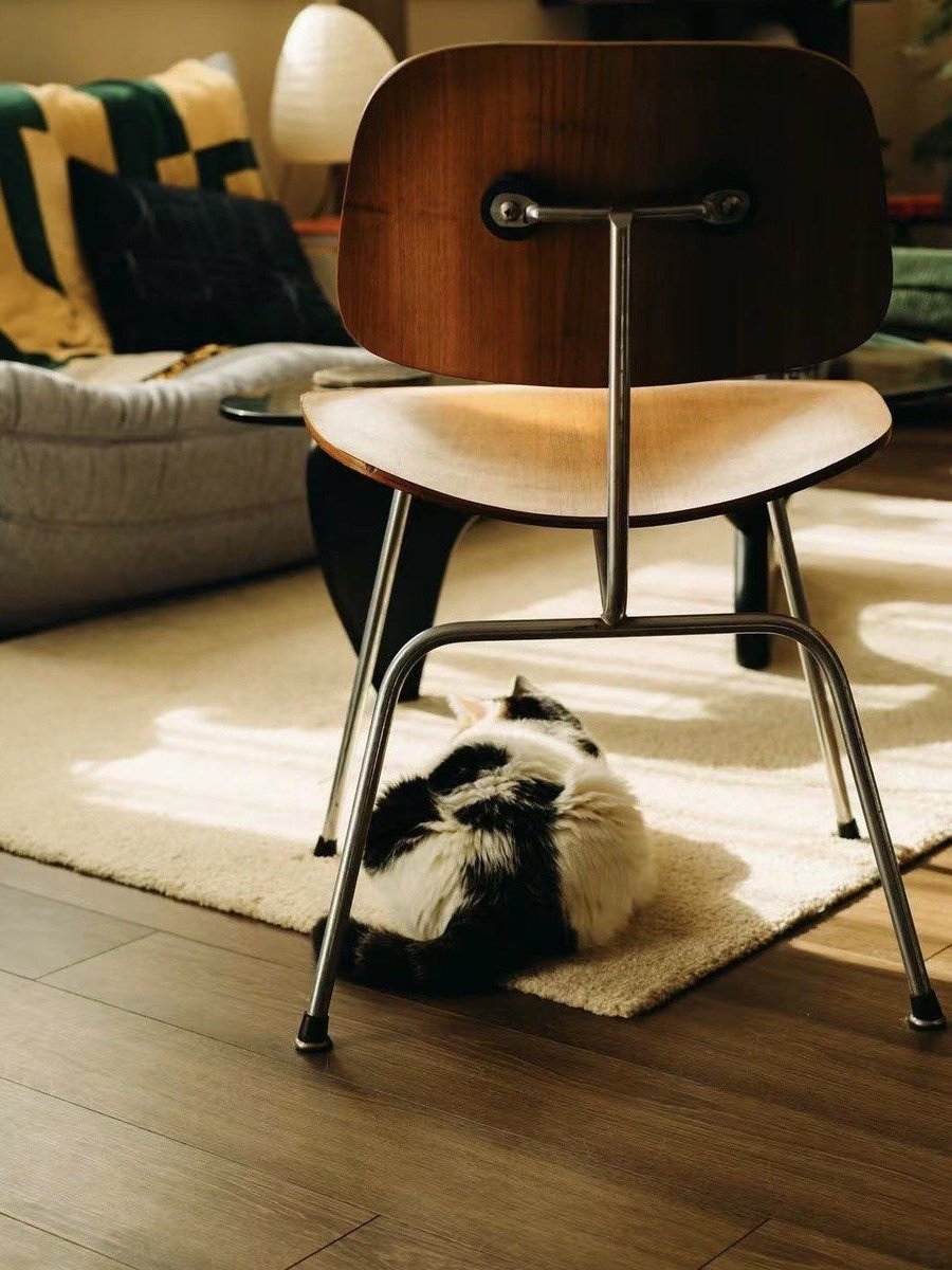 Detailer tweet media