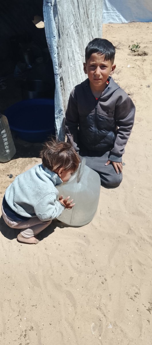 Fadi From Gaza 𓂆 🇵🇸 tweet media