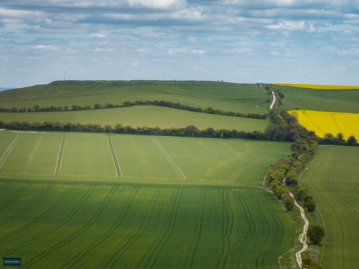 The Ridgeway leading to Uffington Castle. The second Uffington podcast from <a href="/GretelleMaitre/">Gretel Le Maître</a> is now available, where we meet landscape artist <a href="/Anna_Dillon/">Anna Dillon</a> at the 2026 Swire Art exhibition. (Link in first reply)