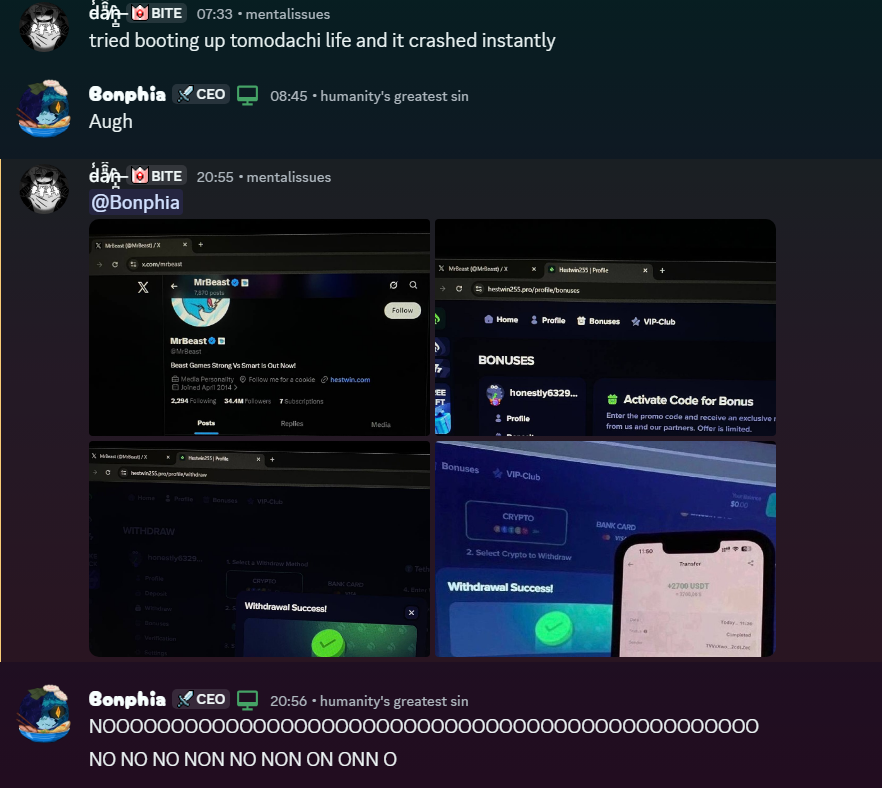 Bonphia 🐱🌺 tweet media