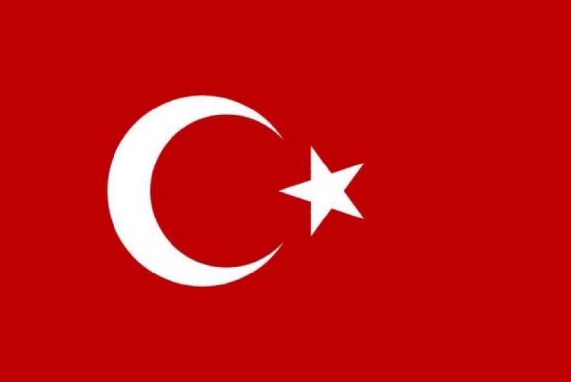 Gökçe Katun tweet media