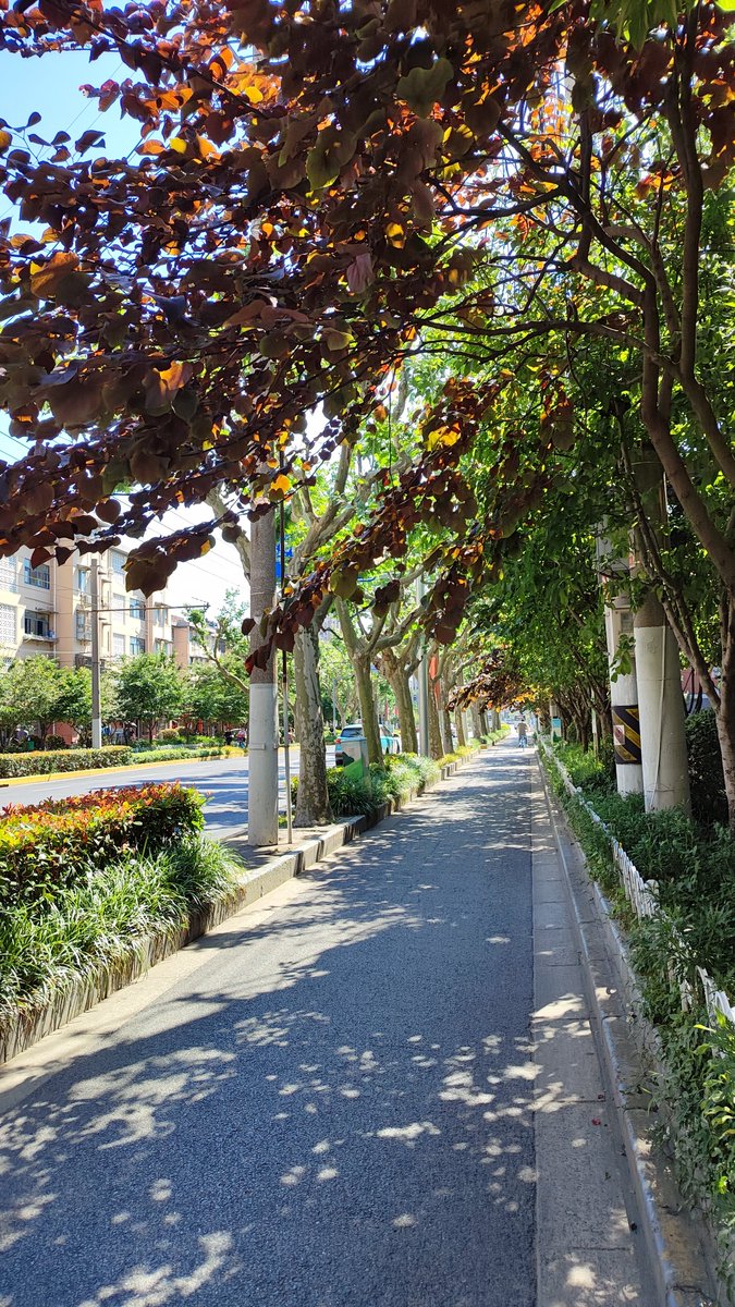 Emir can tweet media