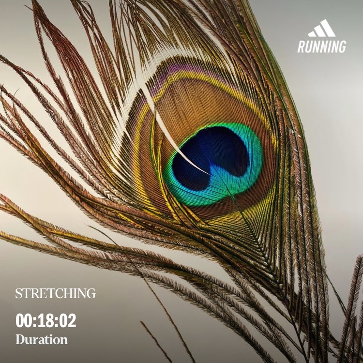 UkrainianGirl7's tweet image. Good morning world!
#morning 
#stretching