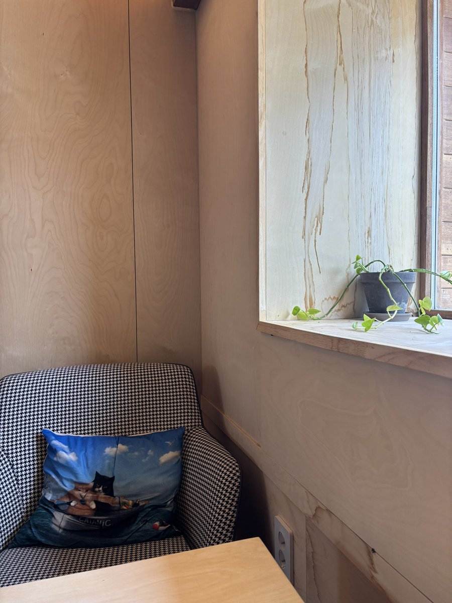 고냥/ᐠ - ̫ -マ tweet media