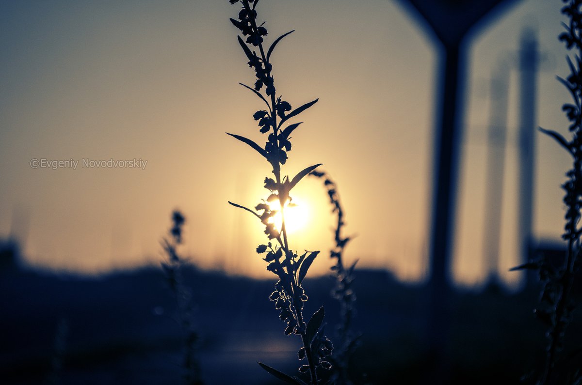 halilhasanmilli's tweet image. "Dive into a watercolor dream—soft blues blur into sunset pinks, a brushstroke at a time.  Feel the calm as color breathes life into paper. #ArtMoments #CreativeFlow"