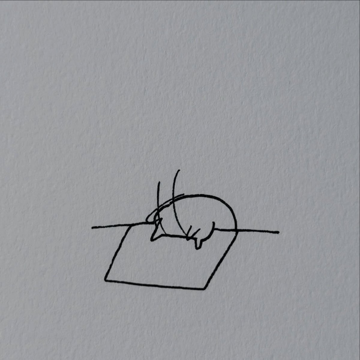 poorlycatdraw's tweet photo. creative process https://t.co/5354eoQrAG