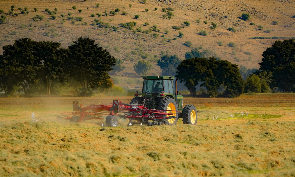 Quad Fuels Ltd tweet media