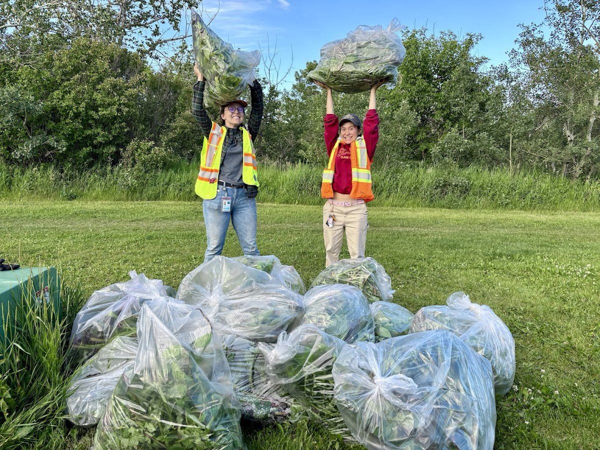 City of Edmonton tweet media
