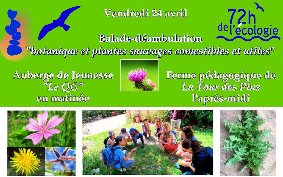 _Permaculture's tweet photo. 🌿 Déambulations "botanique et plantes sauvages comestibles" ce vendredi 24 (sur inscription) à Marseille :
- à l'Auberge de Jeunesse "le QG" en matinée.
- à la Ferme pédagogique de la Tour des Pins/Parc Montgolfier l'après-midi.
Il reste des places !

👉https://t.co/5r7MzSsX8S https://t.co/lEIonV2dDm