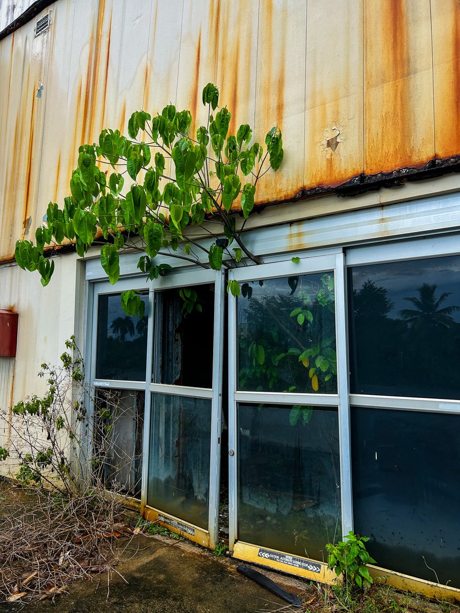 true_explores's tweet image. You can’t stop nature, only delay it. Abandoned mini mall on an old Navy base in Puerto Rico 🇵🇷