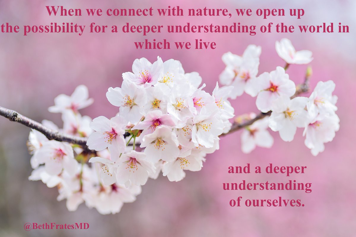 BethFratesMD's tweet image. There are recommendations to spend 120 minutes in nature each week. Do you enjoy time in nature? If so, what do you do? With the season changing soon, we'll have different opportunities to enjoy the world around us. #nature #Health #JoyTrain #Happiness #Wellbeing