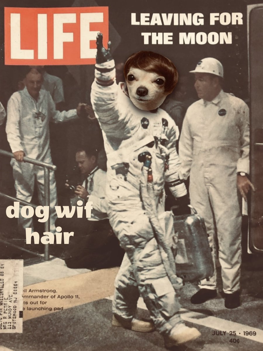 dogwifhair's tweet image. bull run moon mission on✅🚀
#bscgems #bnb $wif