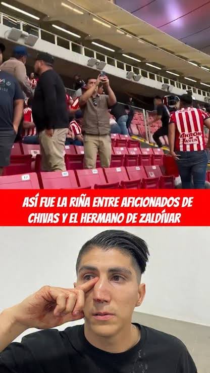 elroy.▲ tweet media