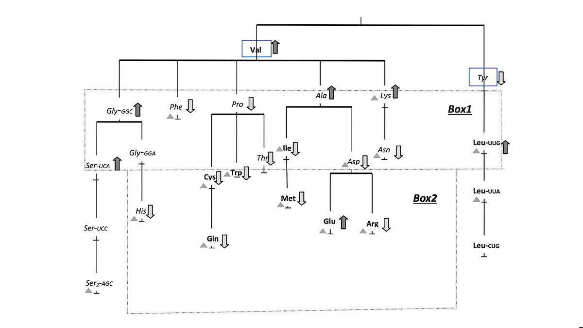 astrobiology's tweet image. The Origin Of The Genetic Code Is Encrypted In The Structure Of Present-day Transfer RNAs
astrobiology.com/2026/04/the-or… #astrobiology #genomics #evolution