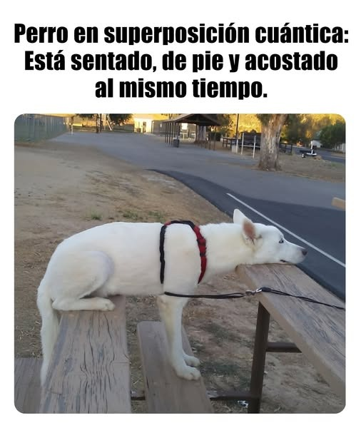 Enséñame de Ciencia tweet media