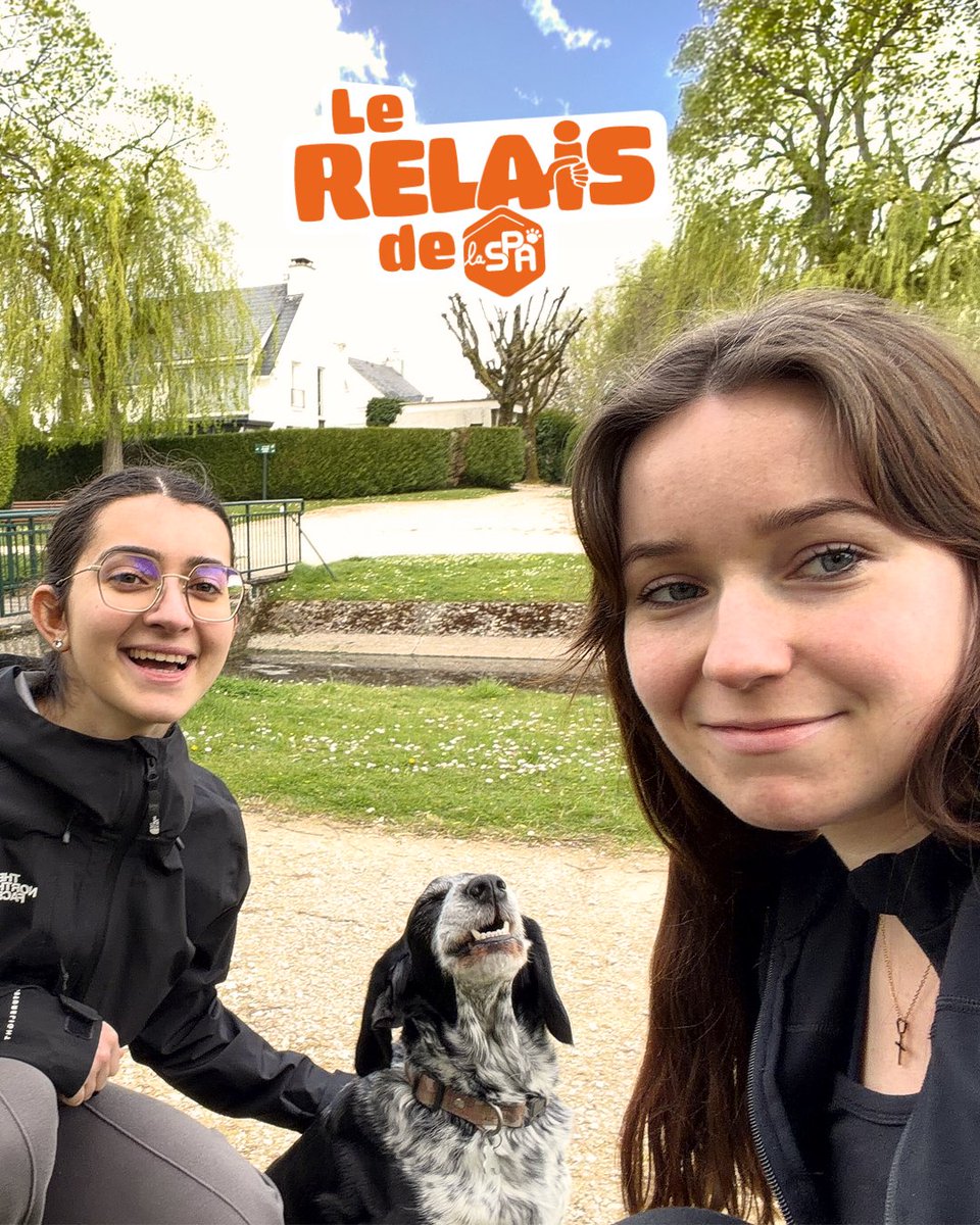 Le 31 mai, Mathilde et Capucine prendront le départ du Relais de la SPA au Domaine national de Saint-Cloud 📍

Amies et grandes amoureuses des animaux, elles s’engagent cette année pour soutenir la cause animale 🧡

Elles participeront au format relais 2x5 km avec une motivation
