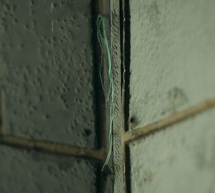 ek plate mahid niyazi 🫰 tweet media