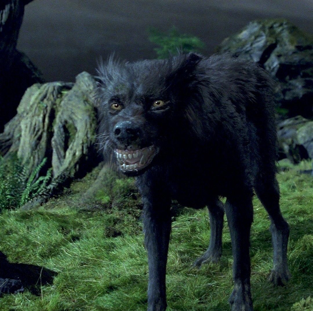 alba ☆ tweet media