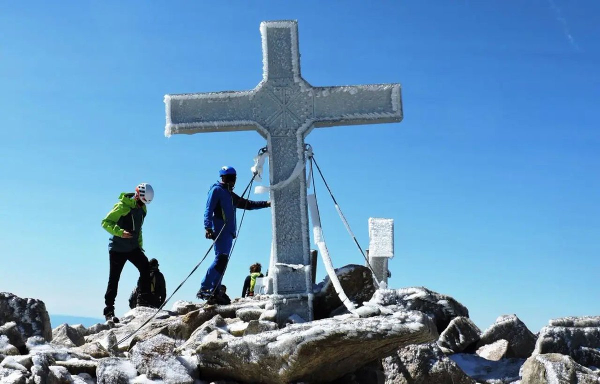 Forocoches tweet media