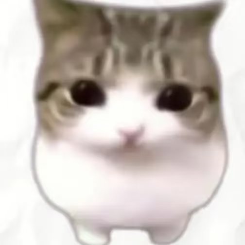 KIKI tweet media
