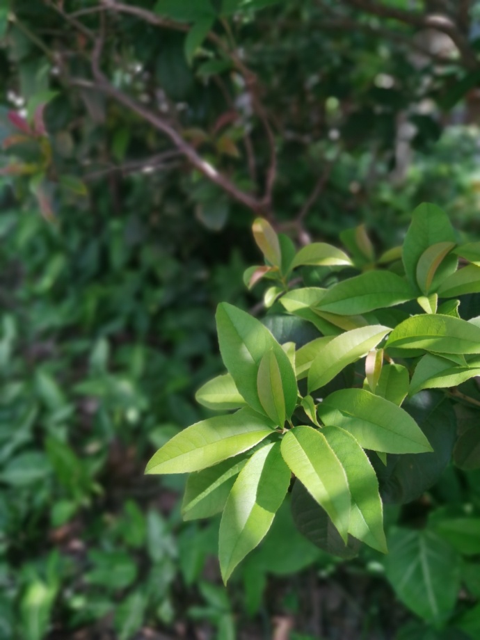 Angie Bell tweet media