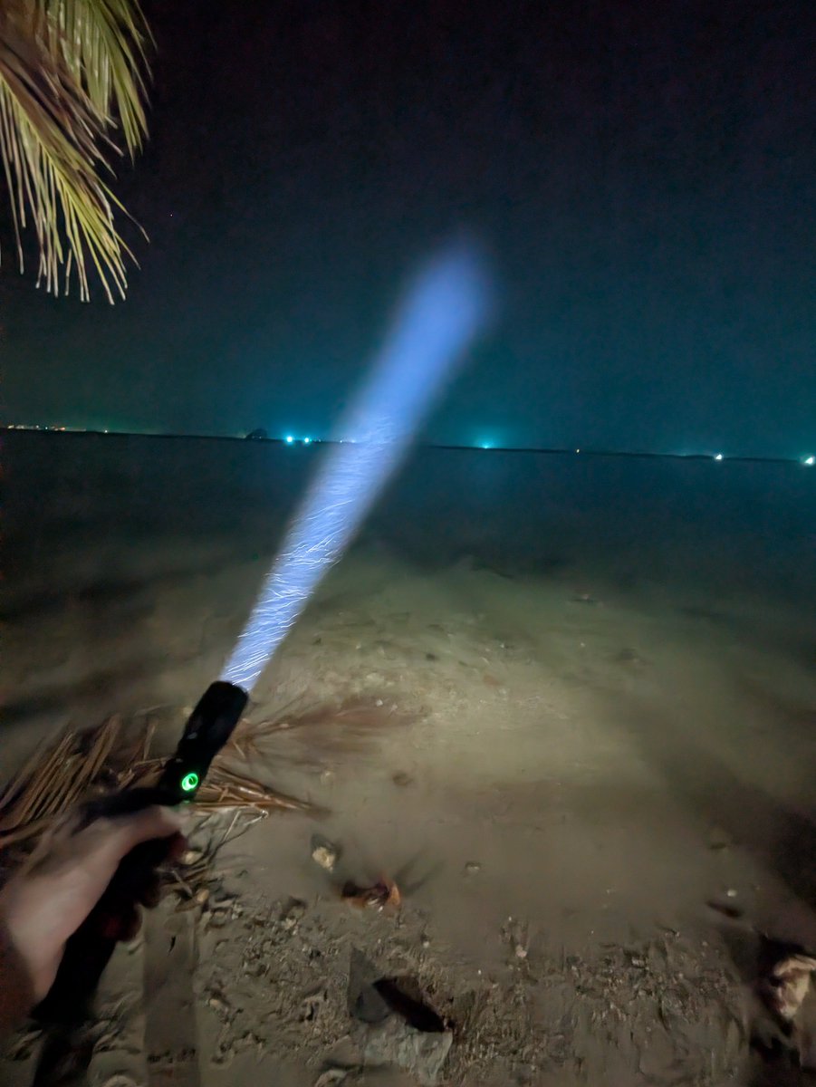 Arnout Jaspers tweet media