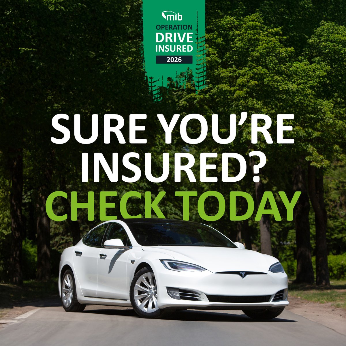 Sabre Insurance Group tweet media