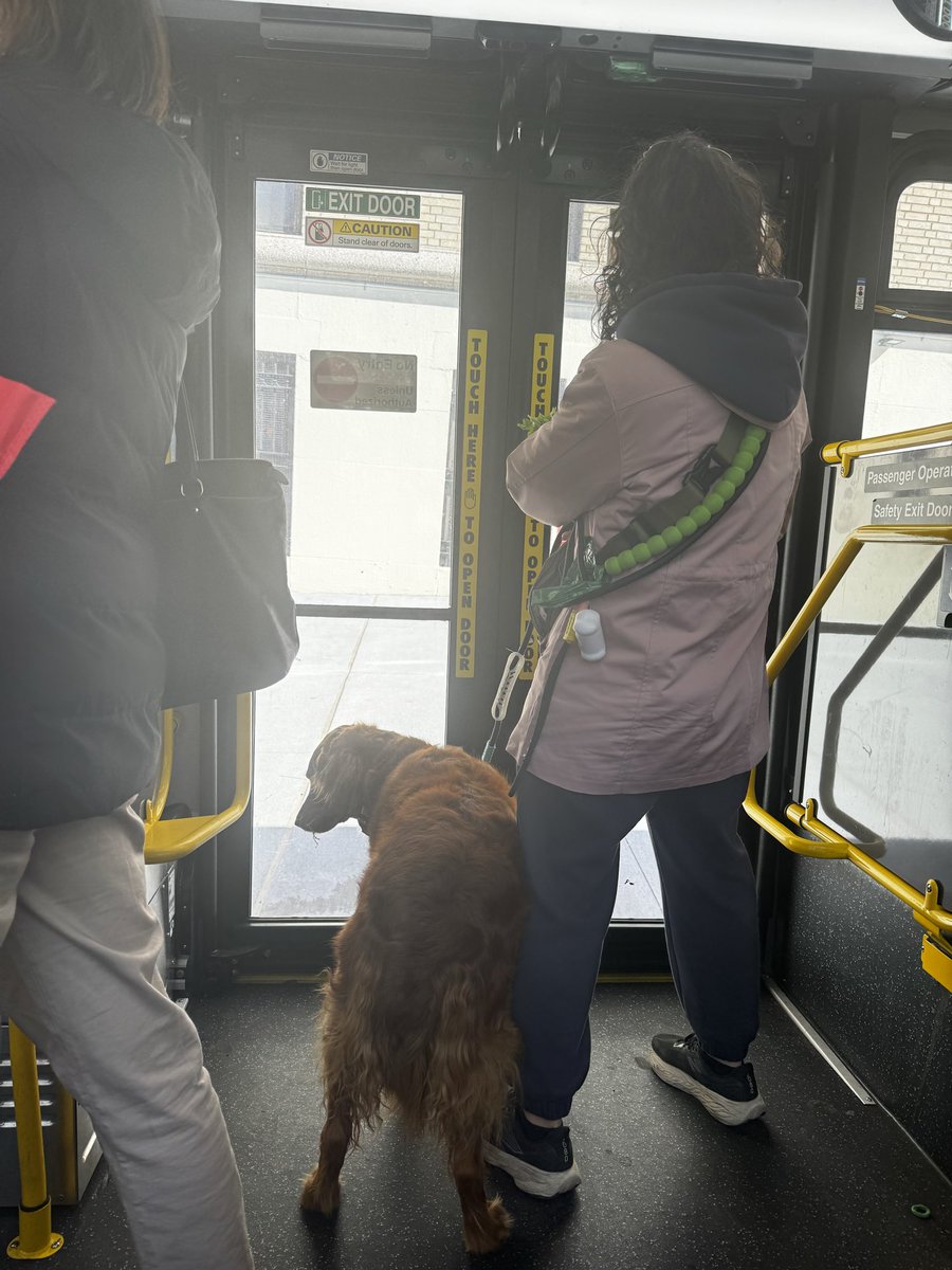 Manhattan Mingle tweet media