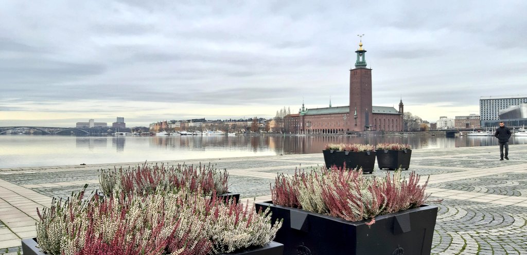 Felah1907's tweet photo. #Stockholm 🇸🇪 https://t.co/6W0nWCzIb6