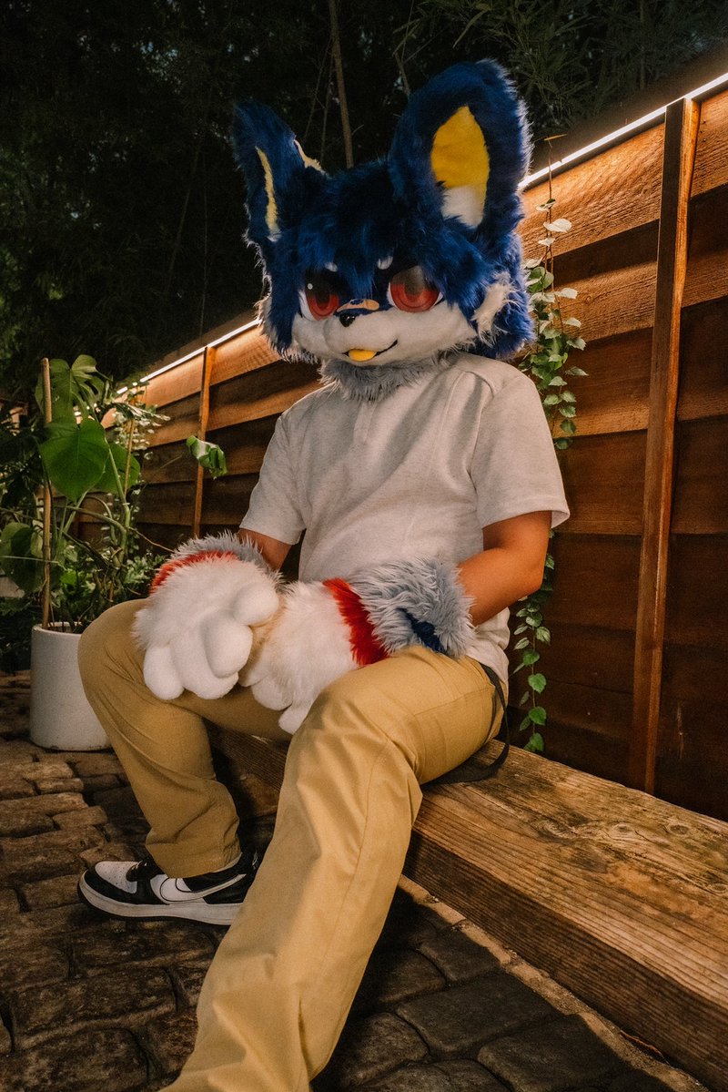 麟崽-LinZai tweet media