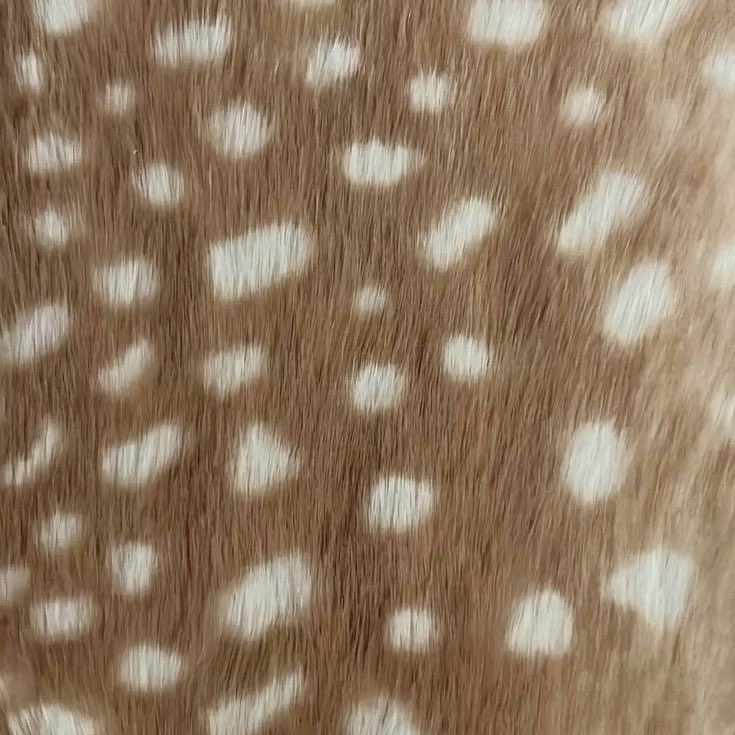 ౨ৎ𝓜𝓮𝓲𝓻𝓲˖ ࣪ ⊹ 🪽(-5/20kg) tweet media