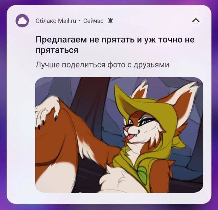 сугарбагет's selected щищьпостинг tweet media