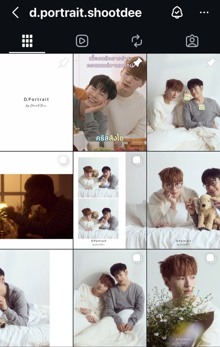 𝑳𝒊𝒐𝒏&𝑻𝒖𝒓𝒕𝒍𝒆ˢᵏ🦁🐢✍️♥️ tweet media