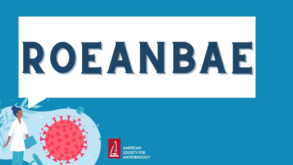 ASMicrobiology's tweet image. Time for a break! Take a few minutes to solve today’s microbiology anagram:

ROEANBAE

Unscramble the word and post your answer below!

Did you get yesterday’s answer? 🥁 Pipette! 

#ASMClinMicro #Lab4Life #LabWeek
