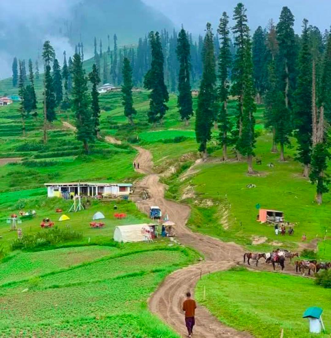 N@v€€d_Ah$@π tweet media