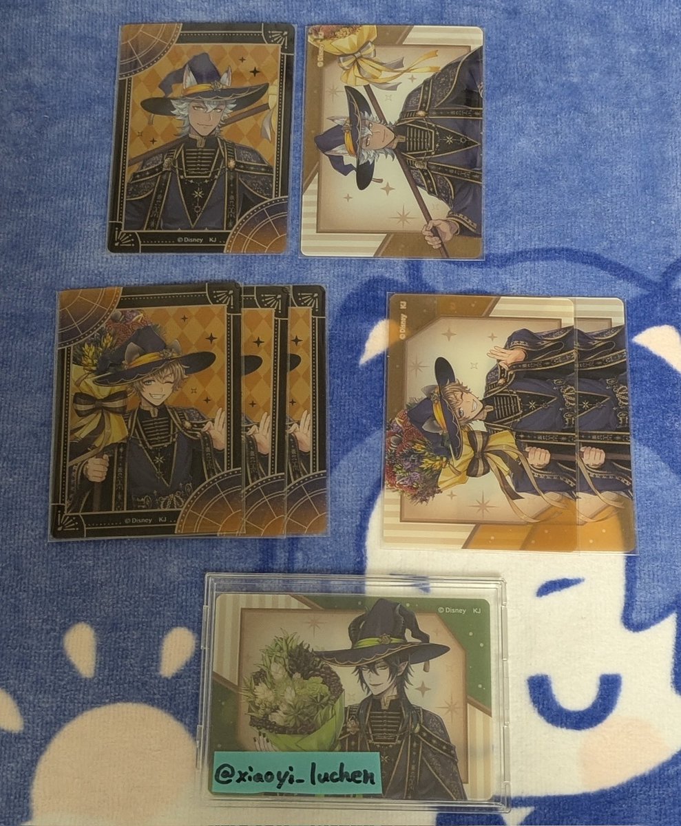 アヤメ tweet media