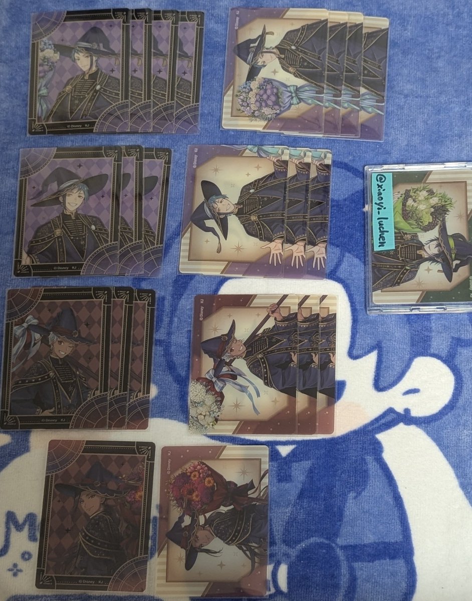 アヤメ tweet media