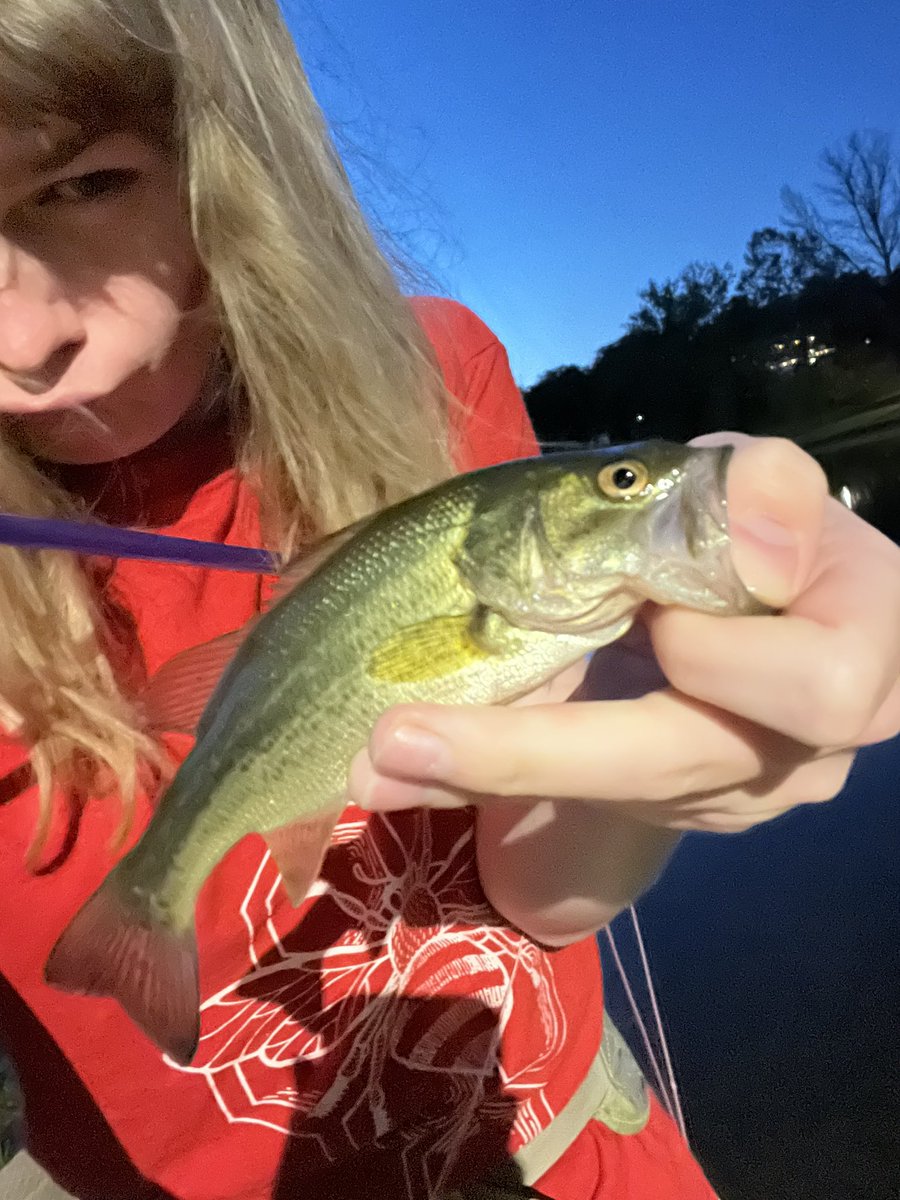 Femgirl Fishing🏳️‍⚧️🎣 tweet media