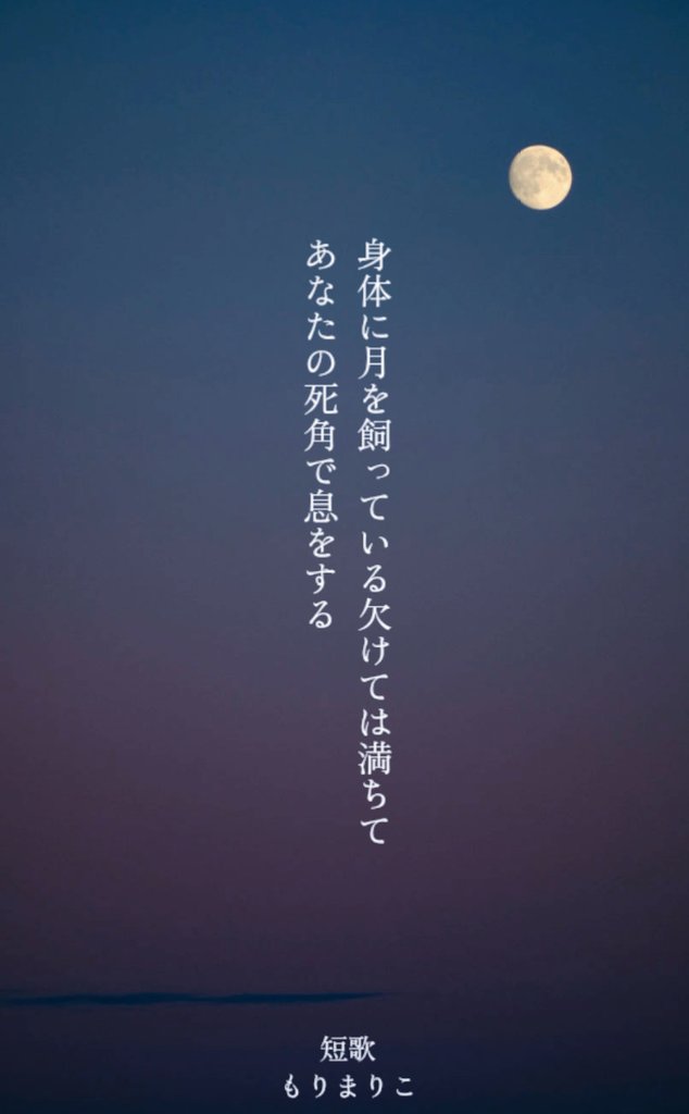 もりまりこ／ゼロの紙 tweet media