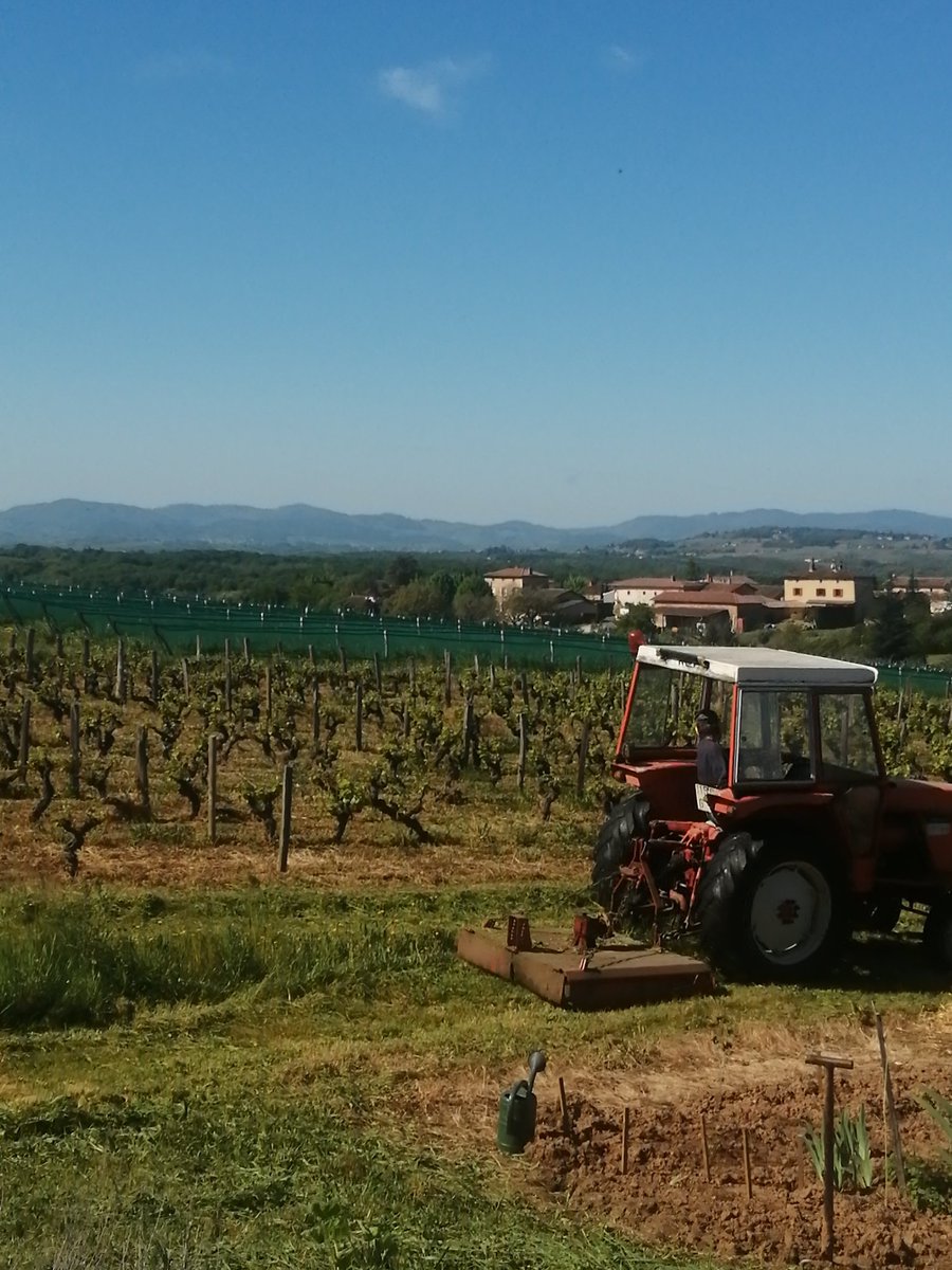 #365JoursChezDesVignerons
Jour 111

1er passage du girobroyeur dans les charrois

Plus joli
Plus pratique
Et un promeneur a remercié Philippe car balade plus aisée pour lui et son chien 😁